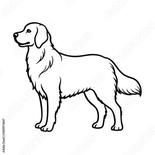 Golden retriever friendly dog breed silhouette