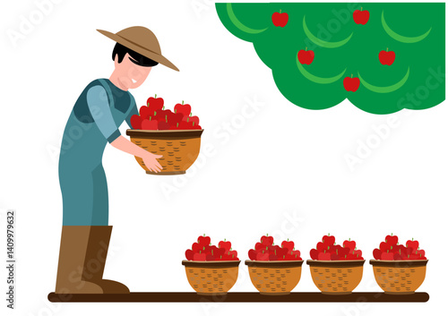 Farmer or gardener picks apples from trees in the orchard, flat vector illustration. Summer or autumn apple orchard with a bountiful harvest and agricultural workers.