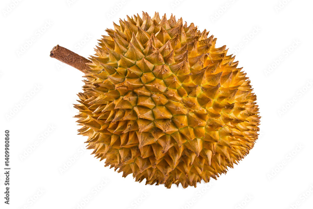 king fruit or durians isolated on white. png image king fruit or durians isolated on white. png image