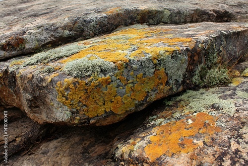 Weathered granite rock with lichen patches earthy