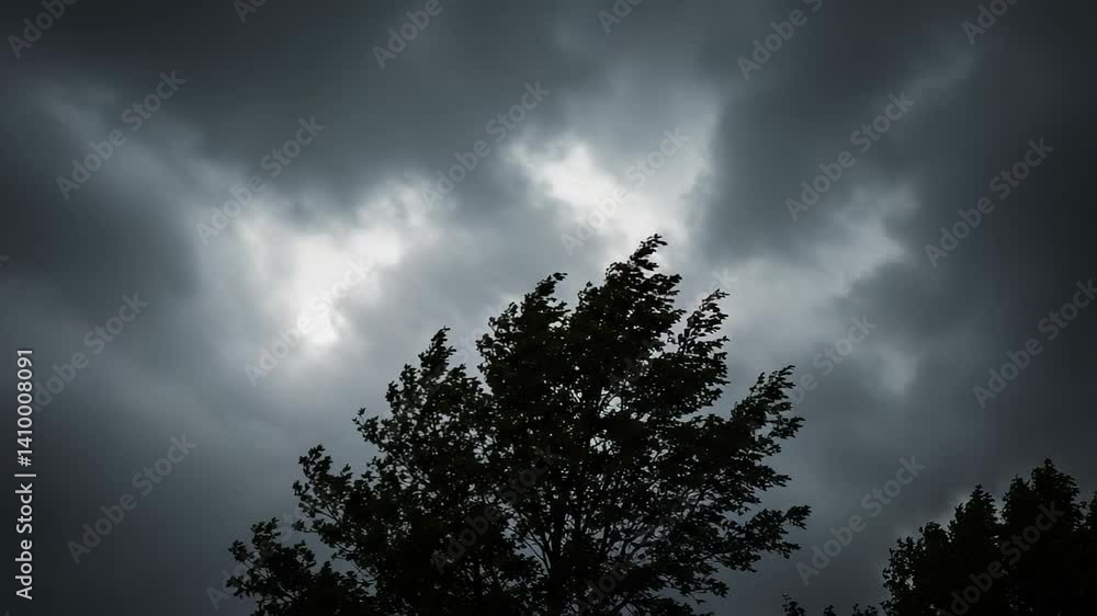 Tree Blowing in Wind Under Dark Stormy Sky Tree Blowing in Wind Under Dark Stormy Sky