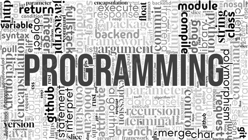 Modern word cloud focused on "Programming," filled with essential coding terms and software development concepts. Great for tech, education, web dev, and IT-themed visuals