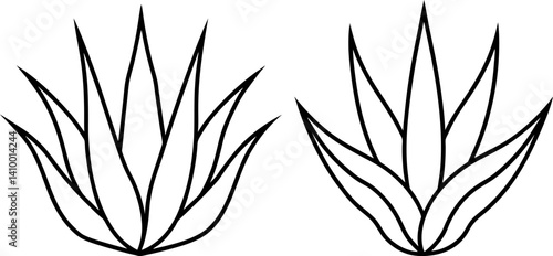Aloe vera outline art vectors and Set of black aloe vera icon silhouette collections