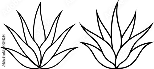 Aloe vera outline art vectors and Set of black aloe vera icon silhouette collections