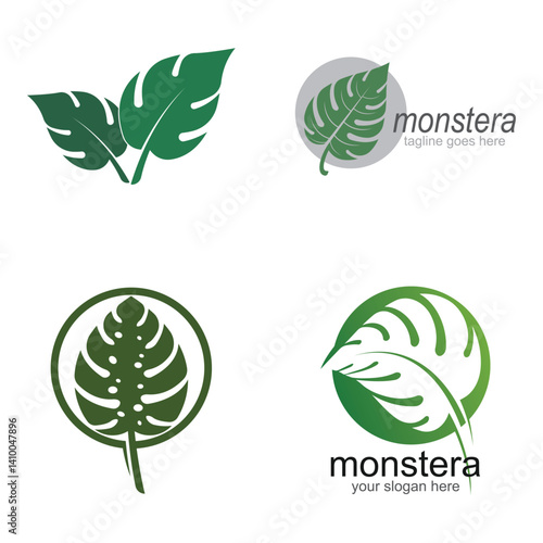 Monstera leaf logo vector design