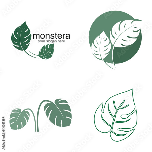 Monstera leaf logo vector design