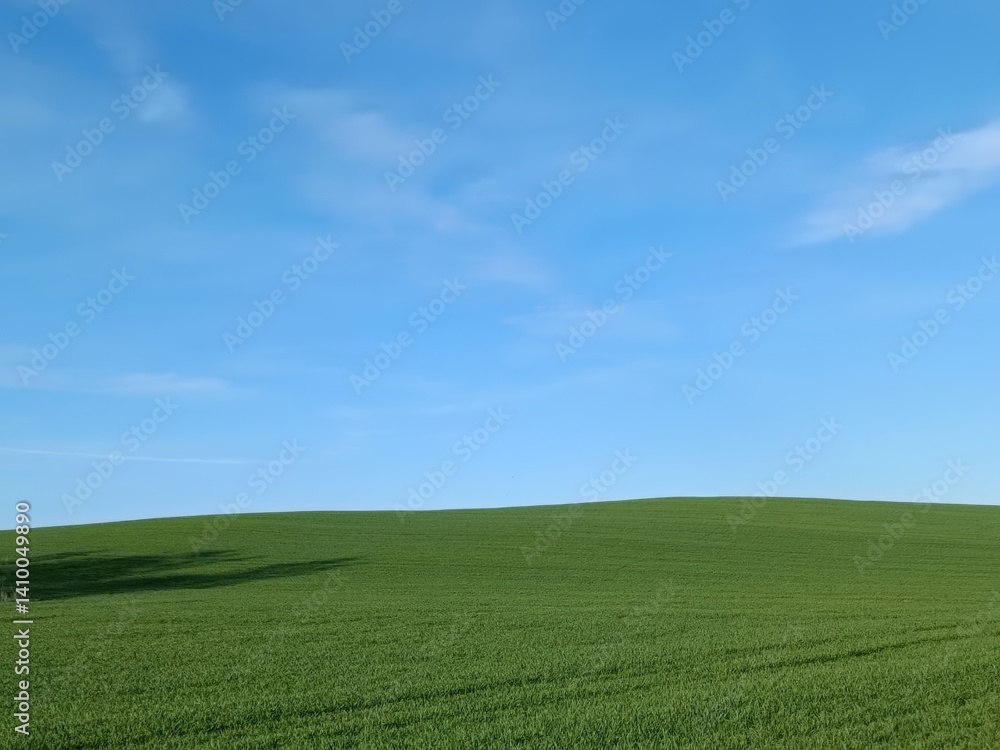 Expansive green fields under a sunny blue sky, conveying a sense of openness and natural beauty, suitable for agricultural, outdoor, or landscape themes. Expansive green fields under a sunny blue sky, conveying a sense of openness and natural beauty, suitable for agricultural, outdoor, or landscape themes.