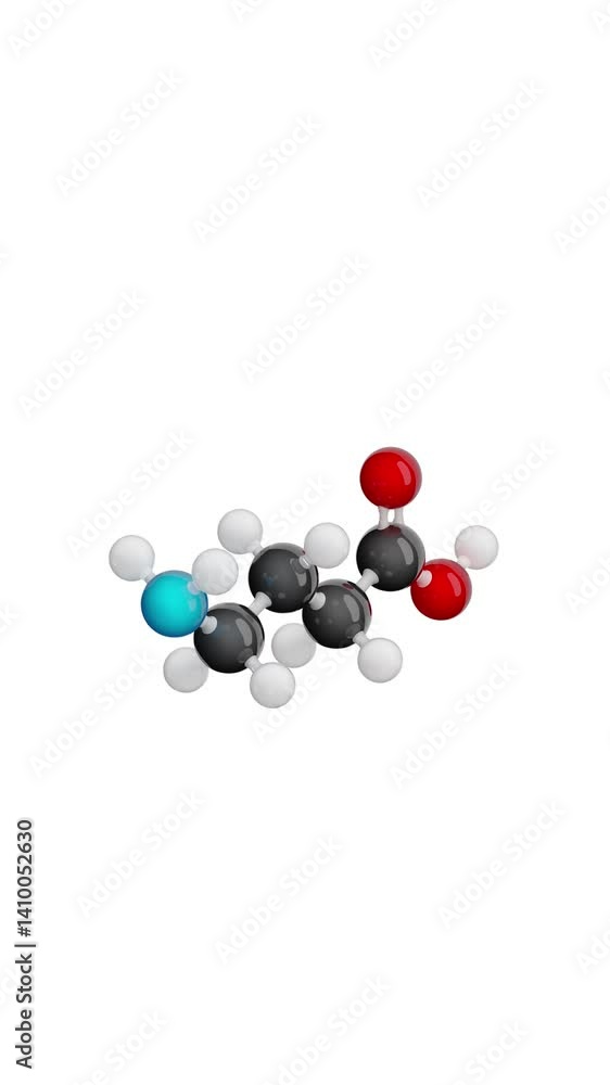 Molecule of Gamma-Aminobutyric Acid (GABA). Animated chemical 3D Model: Ball and stick. Molecular Formula: C4H9NO2. White background. Seamless loop. Vertical screen. 3D rendering. Molecule of Gamma-Aminobutyric Acid (GABA). Animated chemical 3D Model: Ball and stick. Molecular Formula: C4H9NO2. White background. Seamless loop. Vertical screen. 3D rendering.