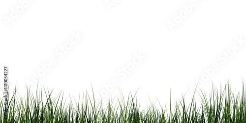  Lush Green Grass.
Natural Grass Patch.Transparent Grass Overlay.
Spring Green Lawn.
Eco Grass Element.