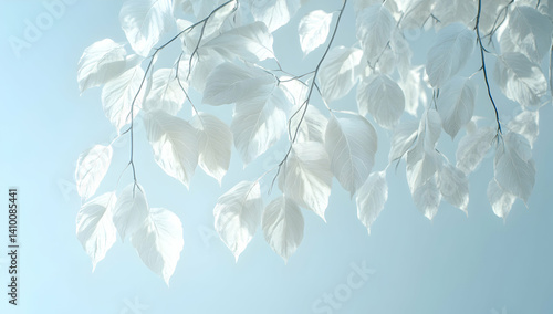 White leaves hanging against a light blue background, beautiful, delicate, elegant, photorealistic, high resolution, high detail, hyperrealistic, cinematic, professional photography, 