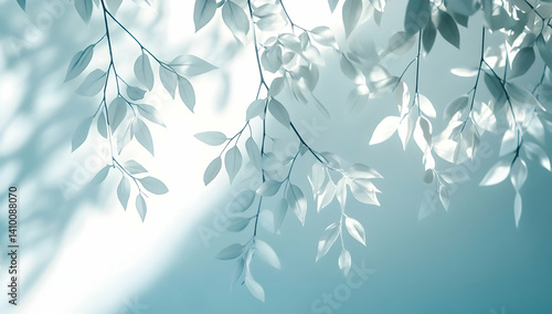 A composition of white leaves hanging from branches, with shadows on the light blue background.