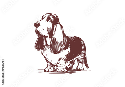 Basset Hound Dog Hand Drawn Illustration Sketch Vector Isolated for Graphic Resource