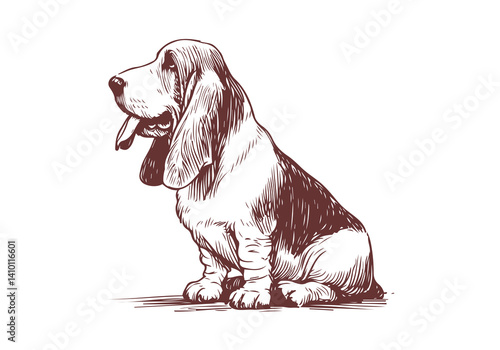 Basset Hound Dog Hand Drawn Illustration Sketch Vector Isolated for Graphic Resource