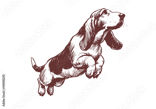 Basset Hound Dog Hand Drawn Illustration Sketch Vector Isolated for Graphic Resource