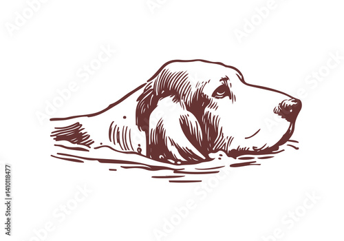 Basset Hound Dog Hand Drawn Illustration Sketch Vector Isolated for Graphic Resource