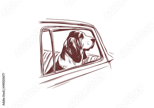 Basset Hound Dog Hand Drawn Illustration Sketch Vector Isolated for Graphic Resource