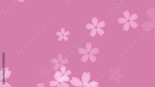 Sakura Cherry Blossoms Falling on Pink Background – Seamless 4K Loop Animation
