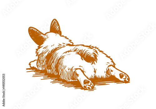 Corgi Dog Hand Drawn Illustration Sketch Vector Isolated for Graphic Resource