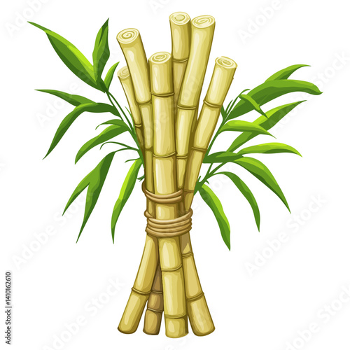 Sugar cane, fruit, plant, vector, transparent background