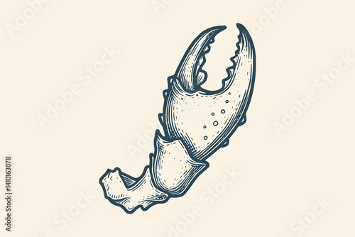 Vintage engraved crab claw illustration in bold black and white style