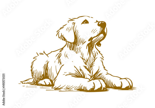 Golden Retriever Dog Hand Drawn Illustration Sketch Vector Isolated for Graphic Resource