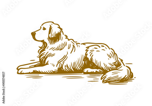 Golden Retriever Dog Hand Drawn Illustration Sketch Vector Isolated for Graphic Resource