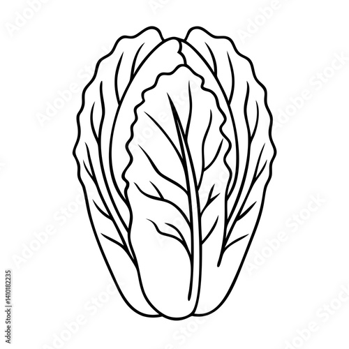 napa cabbage icon, napa cabbage vector illustration-simple illustration of napa cabbage, perfect for napa cabbage logos and icons