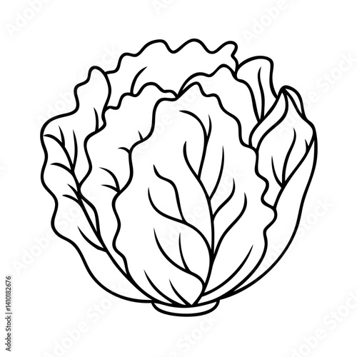 iceberg lettuce icon, iceberg lettuce vector illustration-simple illustration of iceberg lettuce, perfect for iceberg lettuce logos and icons