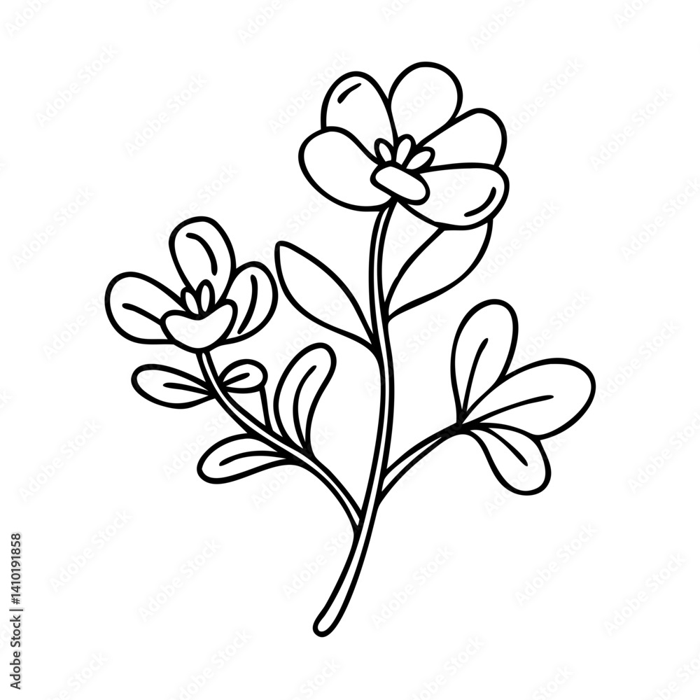 purslane icon, purslane vector illustration-simple illustration of purslane, perfect for purslane logos and icons purslane icon, purslane vector illustration-simple illustration of purslane, perfect for purslane logos and icons