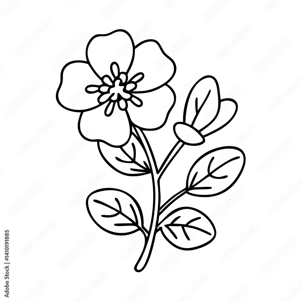 Fototapeta premium purslane icon, purslane vector illustration-simple illustration of purslane, perfect for purslane logos and icons
