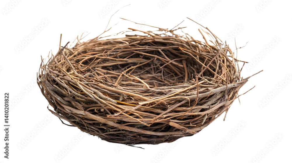 Obraz premium Birds Nest Isolated on White Background - Cutout Design Element