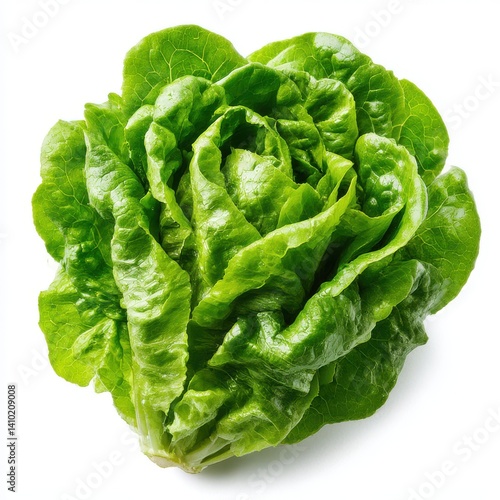 Fresh green lettuce head isolated on white background