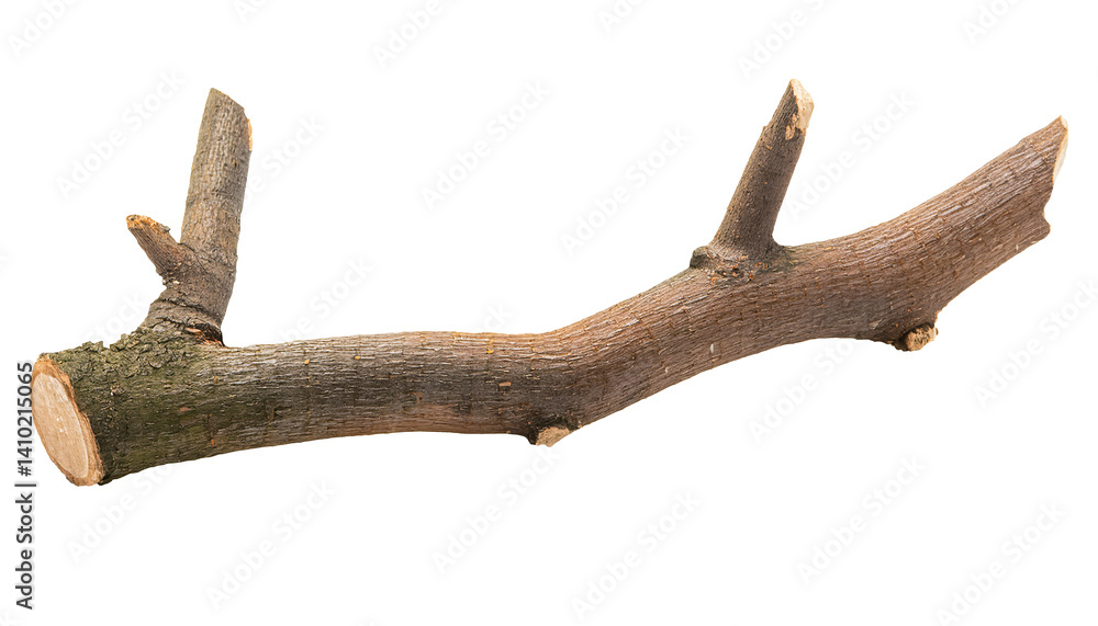 natural rough broken tree branch with visible bark and small cut twigs, rustic wood texture on isolated background
natural rough broken tree branch with visible bark and small cut twigs, rustic wood texture on isolated background
