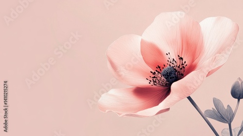 Soft Pink Flower with Delicate Petals and Contrast Against a Light Background for Elegant Floral Design