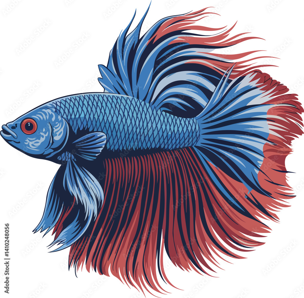 Fototapeta premium Cute Siamese Fighting Fish Vector