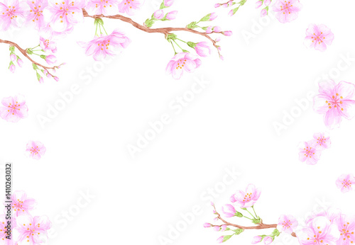 Hand drawn watercolor cherry blossom branch frame border. Illustration of flowers isolated on white background. Can be used for business card, scrapbook and other printed products.