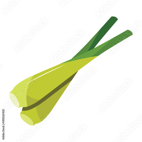 Lemongrass Stalks Hand Drawn Illustration for Culinary and Herbal Use