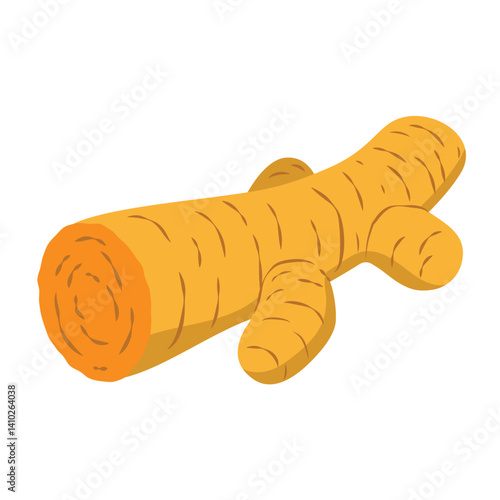Fresh Turmeric Root Drawing for Culinary and Medicinal Use