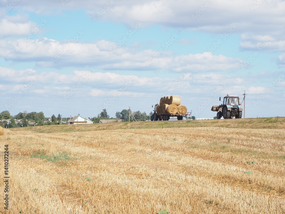 Fototapeta premium Tractors transporting hay bales