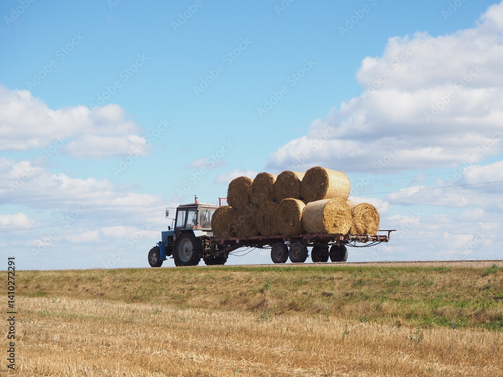 Fototapeta premium A tractor transporting hay bales