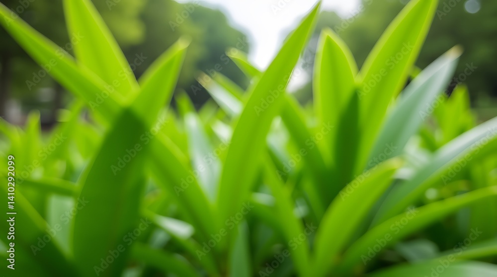 Vibrant green leaves close-up. Lush foliage detail, nature background. Ideal for fresh, organic themes, nature prints. Vibrant green leaves close-up. Lush foliage detail, nature background. Ideal for fresh, organic themes, nature prints.