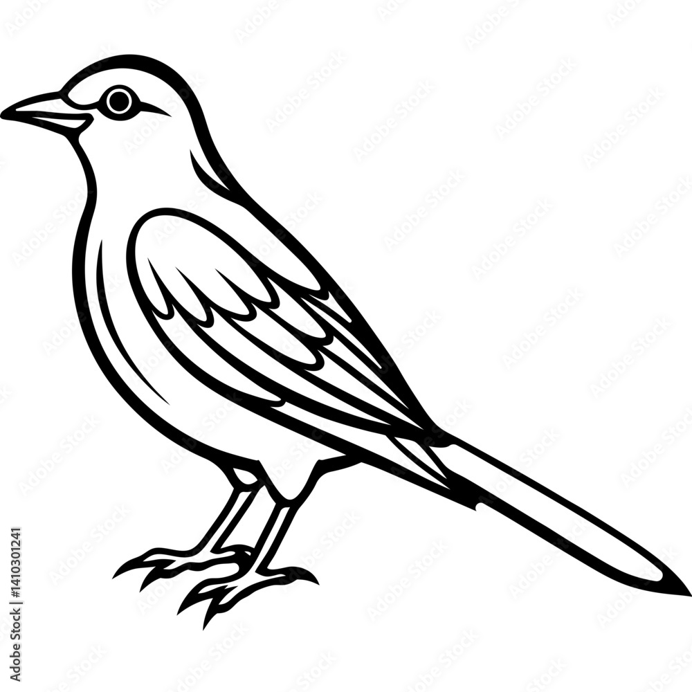 Black and White Line Art Illustration of a Bird.