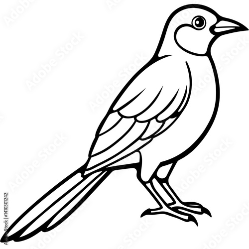 Black and White Line Art Illustration of a Bird.