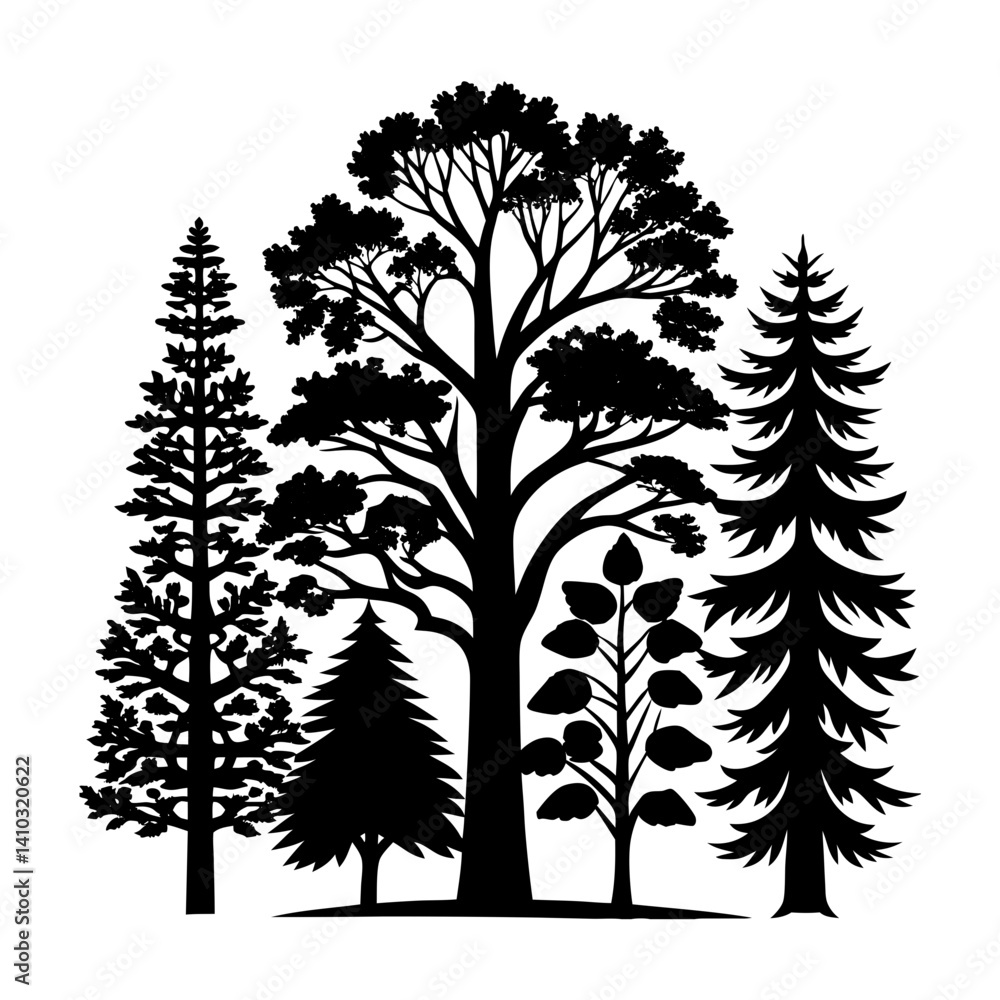 Obraz premium Various Tree vector silhouettes on a white background