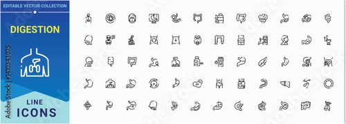 Digestion modern icon. It contains symbols to body, digestive, anatomy, intestine, digest, organ, gastric and more. Minimal linear icons. Health line icon. Editable stroke.