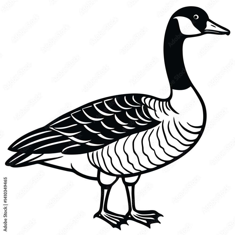 Canada Goose illustration flat vector design Canada Goose illustration flat vector design