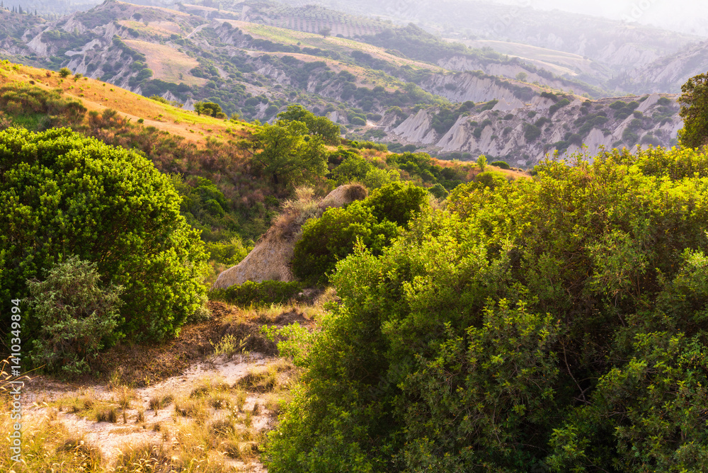 Fototapeta premium rural countryside landscape inside the badlands national Park during a sunny summer day, Val d'Agri, Basilicata