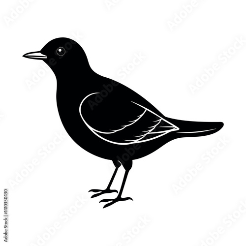 northern garnet bird vector silhouette