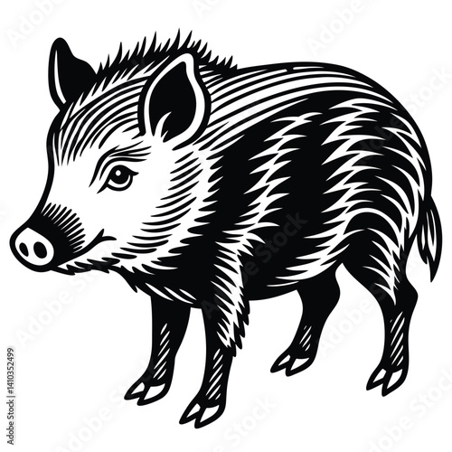 Collared Peccary illustration flat vector design