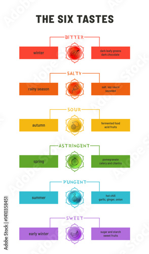 Ayurvedic Tastes Vector Infographic Guide
